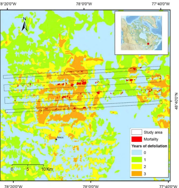 Figure 1.1  Map  of the  study area showing tree  mortality in 2005  (from  1  to  100% of  mortality)  and  the  number  of  year  of  moderate  and  severe  forest  tent  caterpillar  defoliation during the last outbreak that occurred from  1999 to  2002