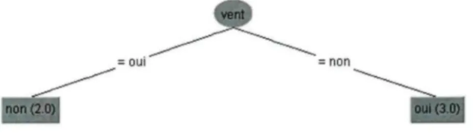 Figure 6 : Exemple d'arbre de décision avec C4.5 avec nouvelle donnée