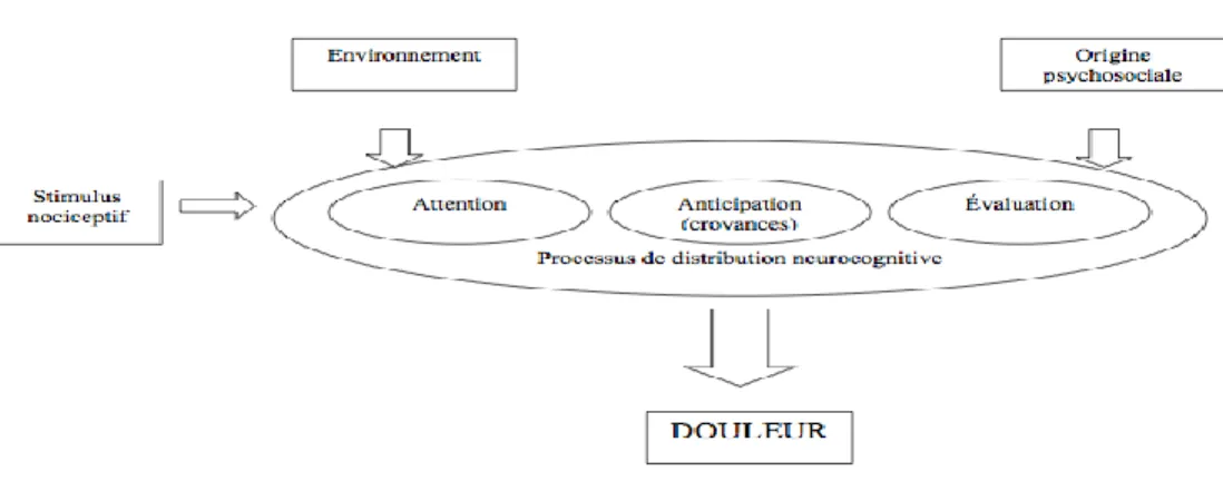 Figure 1. L’éventail cognitif impliqué dans le traitement du message douloureux (traduction  libre de Chapman &amp; Okifuji, 2004)