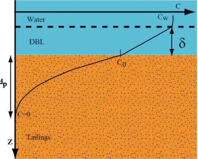 Figure 3.3  Schematic diagram of the effect ofDBL on DO concentration profile through a  water cover above tailings
