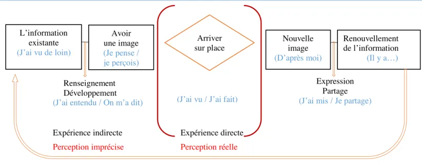 Figure II :  Le processus de perception et la circulation de l’information (J’ai vu / J’ai fait) 
