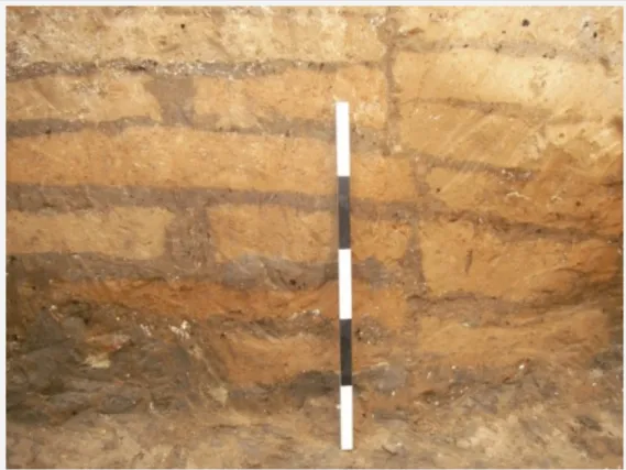 Fig. 2 : Çatal Höyük : mur en briques (Çatal Höyük image collection : photo 20070728_143111.jpg)
