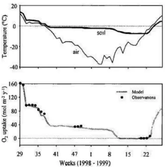 Figure 2-7: Température du sol, température de l'air, mesures de consommation d'oxygène  in situ 