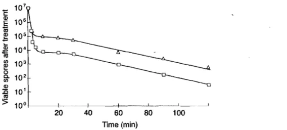 Figure  1.7  Exemple  de  courbe  de  survie,  d'après  Hury  et  al.  [44]:  influence  de  la  densité  surfacique de spore sur l'inactivation de  B