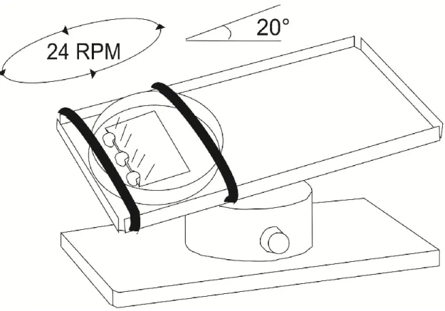 Figure 10 : Schéma du nutator, le dispositif utilisé pour stimuler le système vestibulaire.