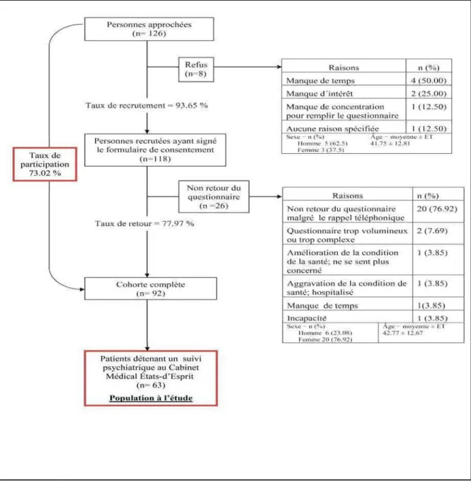 Figure 6: Compte rendu du recmtement au Cabinet médical États d'Esprit (février 2009  à  août 2010) 