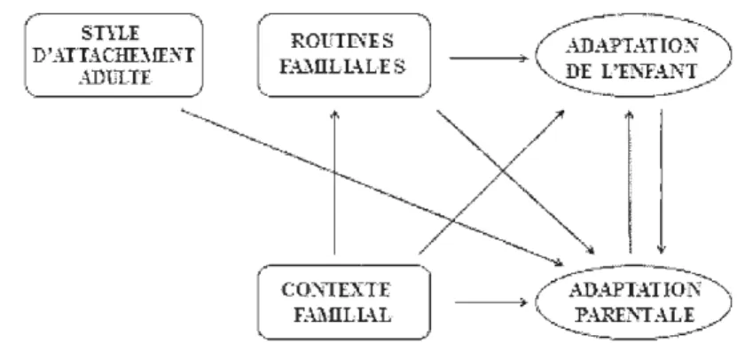 Figure 3.  Figure des  relations confirmées par les analyses multivariées. 