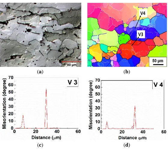 Figure  8b,d,  demonstrates  that  a  subgrain  was  progressively  increasing  in  misorientation  and  being  transformed into a dynamically recrystallized grain