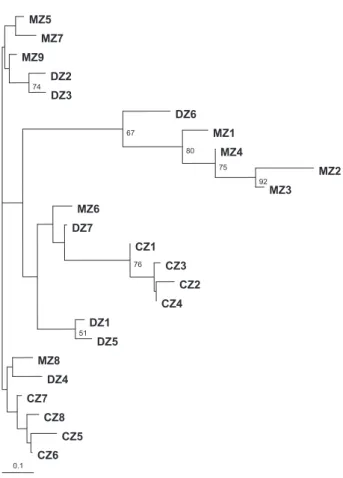 Figure 4. Neighbor-joining tree of Thuja occidentalis populations based on Nei’s standard genetic distance, Ds (Nei 1987)