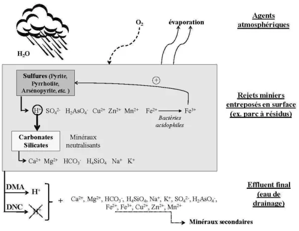 Figure 1.1  Schéma récapitulant les principaux mécanismes de drainage minier contaminé
