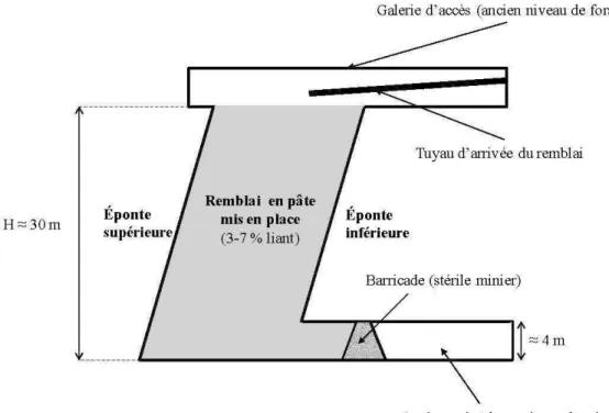 Figure 1.3 Schéma des  composantes d'une galerie remblayée par un remblai minier en pâte  cimenté (d'après Belem et Benzaazoua, 2008)