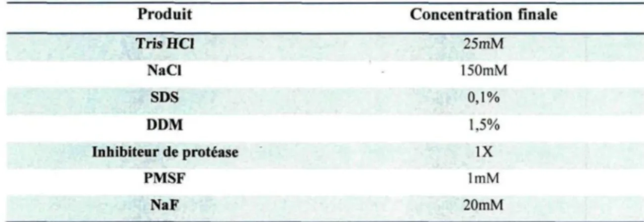 Tableau 3 : Composition du tampon de lyse pour l'extraction des protéines