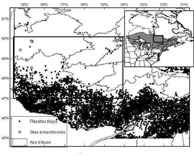 Figure  1.1.  Répartition du thuya de l'Est au Québec (MRNF, 2009) et en Amérique du Nord  (USGS, 2009) ainsi que la répartition des sites échantillonnés dans l'aire d' éb.Jde 