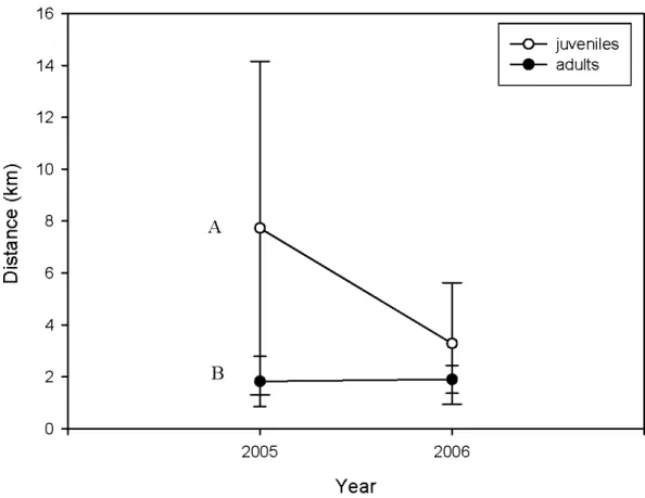 Figure  1.3.  Mean distance(±  S.D.)  between two  capture  points  traveled by juvenile (N  ~  10  in 2005  and N  ~  10 in 2006)  and adult  (N  ~  5 in 2005,  and N  ~  4 in 2006)  martens  thal  were  captured  more  than  once