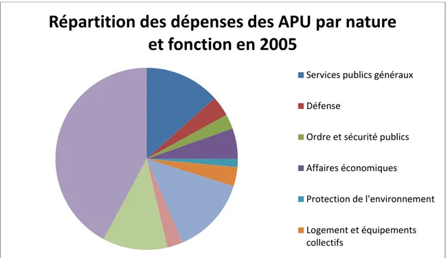 Illustration 1 : Répartition des dépenses des APU par nature et fonction en 2005 