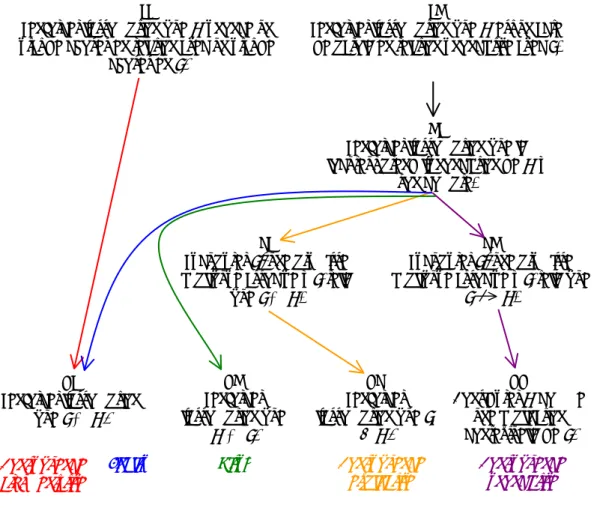 Figure 2.  Schéma instructionnel des marqueurs de conséquence, de finalité et  de visée