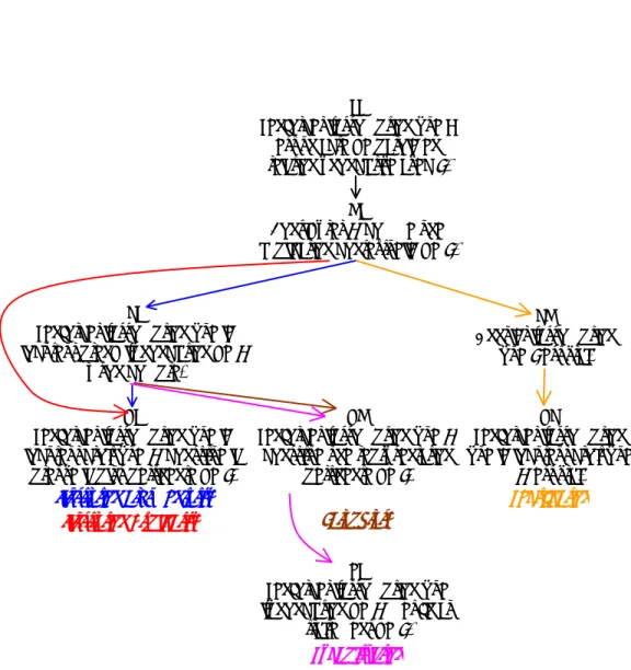 Figure 5.  Schéma instructionnel de l'illustration, de la paraphrase, de la  récapitulation et de la rectification