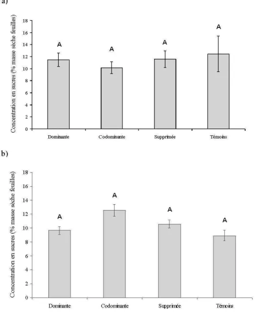 Figure 2.6.  Concentration en sucres des  feuilles  des ramets non défoliés  et des  témoins à l'été  2007 (a) et 2008 (b)