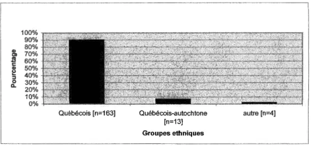 Figure 4.  Groupes ethniques des répondants  4.1.2. Habitation, état civil et famille 