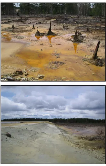 Figure 1.1.  Photographies  de  drainage minier acide  à  proximité  de  parcs à  résidus  abandonnés  (Abitibi-Temiscamingue, Québec)