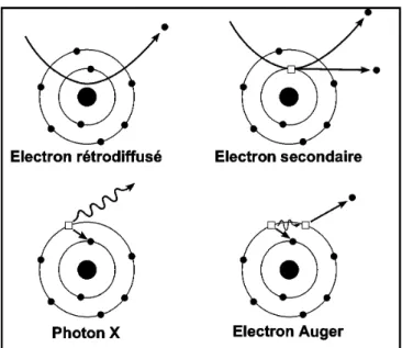 Figure  11.12.  Interactions  entre  les  électrons  du  faisceau  primaire  du  MEB  et  les  atomes  de  l'échantillon (image Wikipedia)