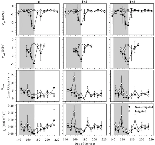 Figure 2.2 Water relations, gas exchange and CO 2  assimilation of black spruce saplings  before, during and after the water-deficit period (grey background) at three thermal 
