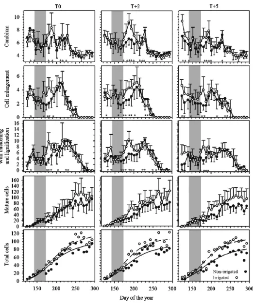 Figure 2.3 Radial number of cambial, enlarging, wall thickening and lignification, and  mature cells counted in black spruce saplings before, during and after the water-deficit  period (grey background) at three thermal conditions