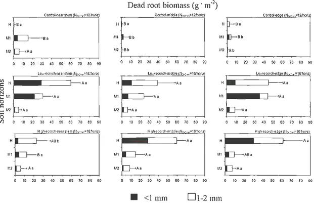 Fig.  1.3a Mean dead root biomass (g-m- 2 )  to diameter D&lt;2 mm.  Tukey's multiple comparison  tests  of D&lt;2  nun  (&lt; I mm+2 mm)  biomass  rank  mean  among scorch  classes  and  distances