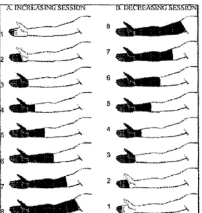 Figure 1.  Schematic representation of the experimental procedure. The subjects  immersed predetennined segments of the ir arros in  noxious co id  circulating water