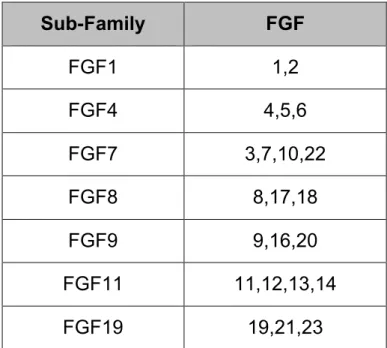 Table  1: Evolutionary  relationship  within  the  human  FGF  gene  family. 