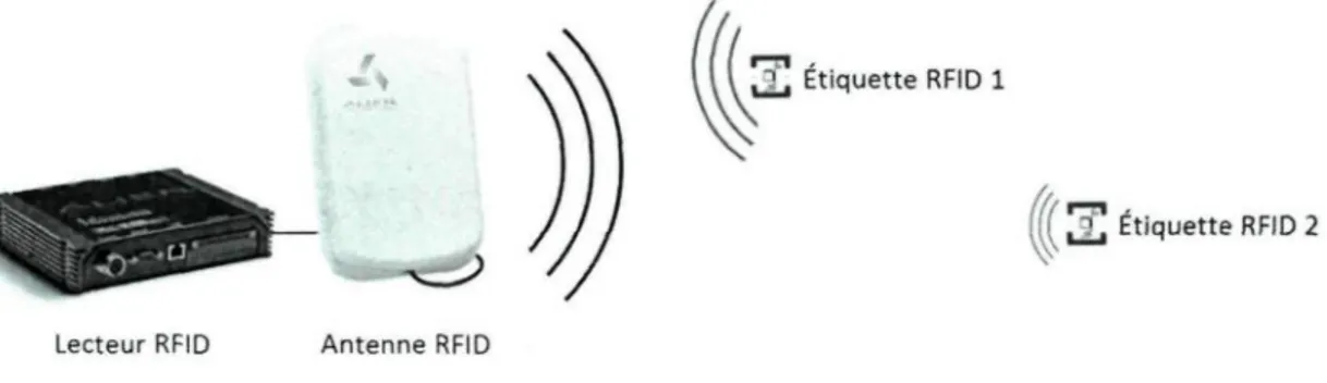 Figure 1.1 : Système RFID - antennes, module de collecte et étiquettes (adapté de [19]).