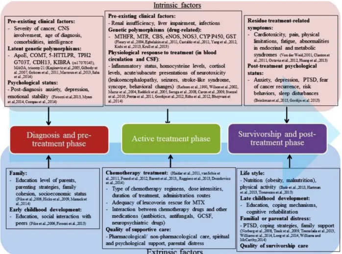 Figure 2.  Modèle de Cheung &amp; Krull (2015)