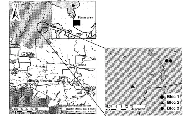 Figure  1.1.  Localisation  de l'aire d'étude en Abitibi-Témiscamingue,  au nord-ouest  du Québec