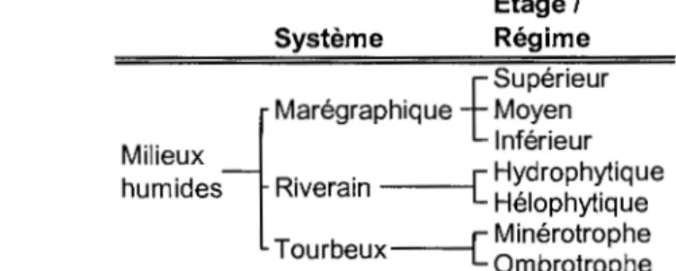Figure 1.3.  Deux premiers niveaux hiérarchiques de la classification développée par Couillard et  Grondin  dans  « La  végétation  des  milieux  humides  du  Québec  &gt;&gt;  (modifié  de  Couillard  et  Grondin 1986)