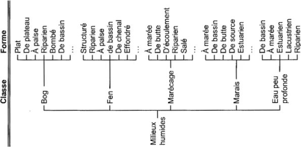 Figure 1.5.  Deux premiers niveaux hiérarchiques du système de classification des  terres humides  du Canada (tiré de Warner et Rubec 1997)