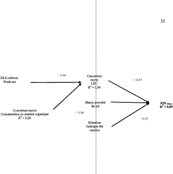Figure 3.5  Modèle causal  des relations entre la matière organique du sol,  l'abondance du bois mort et l'IQSzsans 