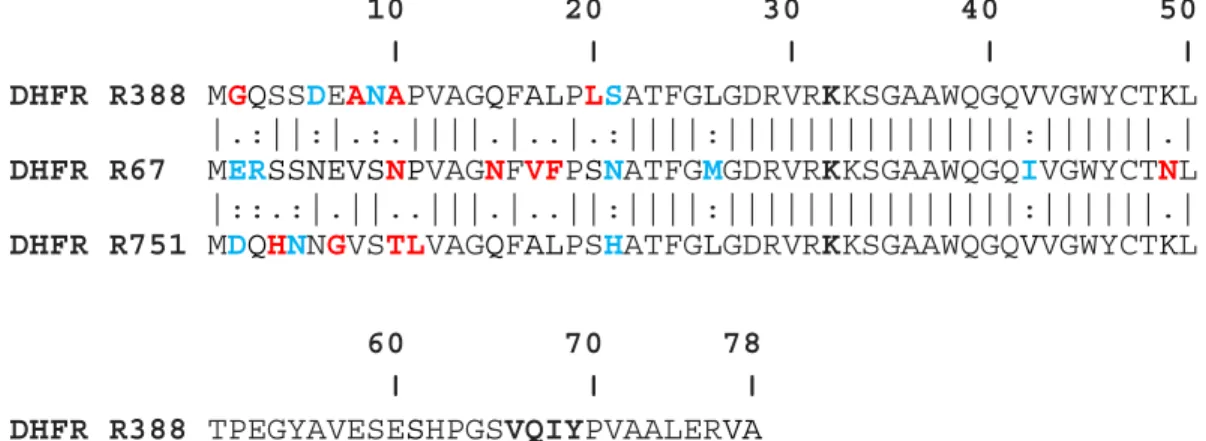 Figure 1.5. Comparaison de la séquence de DHFRs plasmidiques de type II  d’E. coli.  