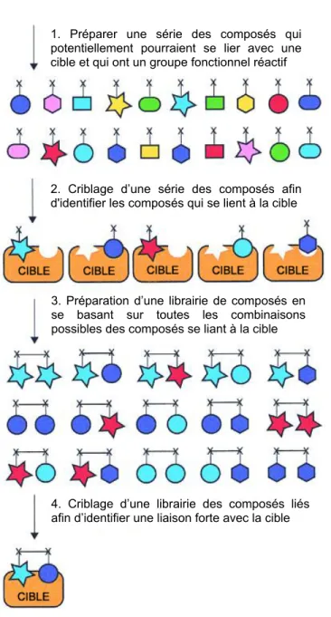 Figure 1.7. Principe du design d’un inhibiteur basé sur l’utilisation de petites  molécules (“Fragment Based Drug Design”)