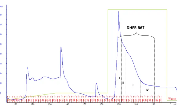 Figure 2.2. Chromatogramme de purification de la DHFR R67 avec gradient  d’imidazole modifié