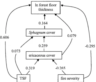 Figure 1.2 Path analysis of factors  affecting forest floor thickness after high and low severity  fires combined