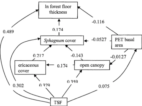 Figure 1.3 Path analysis of factors affecting forest floor thickness after high severity fires
