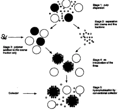 Figure 3 : The procedure to obtain coarse-fine galena aggregates in a mixed mineral system  (open circles are quartz, dark circles are galena) from Wightman, Grano and Ralston (2000) 