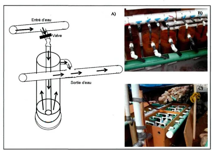 Figure 3. (A) Schématisation du fonctionnement d'une jarre d'incubation (basé sur Larose et Bouchard 1997) et (B) jarres retrouvé au ruisseau de l'Église et (C) à la rivière Métabetchouan