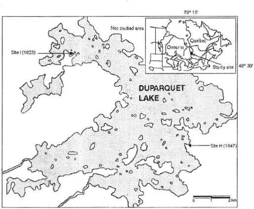 Figure 1.1  Map of Lake Duparquet (Canada) showing the location of the two study sites H  and I and their respective fire dates  184 7 and  1823 