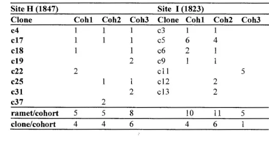 Table 1.5. Number of ramets per clone and per cohort observed in clones that suckered in the  first (Cohl), second (Coh2), and third (Coh3) cohort 