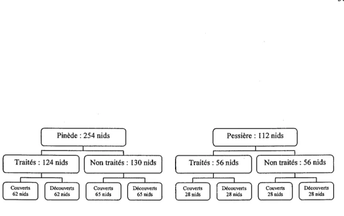 Figure 1. Répartition des nids artificiels au sein des deux secteurs d'étude. 