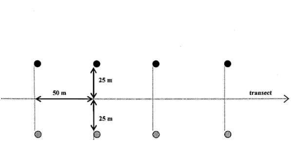 Figure  2. Installation des nids artificiels recouverts  (ill)  et découverts  ete  long d'un transect
