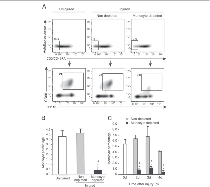 Figure 1 Liposome-encapsulated clodronate eliminates more than 80% of blood monocytes