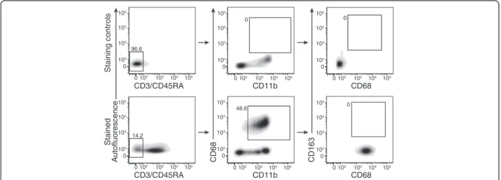 Figure 5 CD68 + blood monocytes do not express CD163. Blood was isolated from uninjured rat