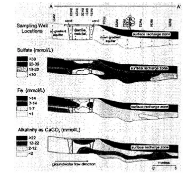 Figure 2 : Coupe au travers de  l'aquifère contaminé et du  mur réactif perméable (Benner  et al.,  2002) 